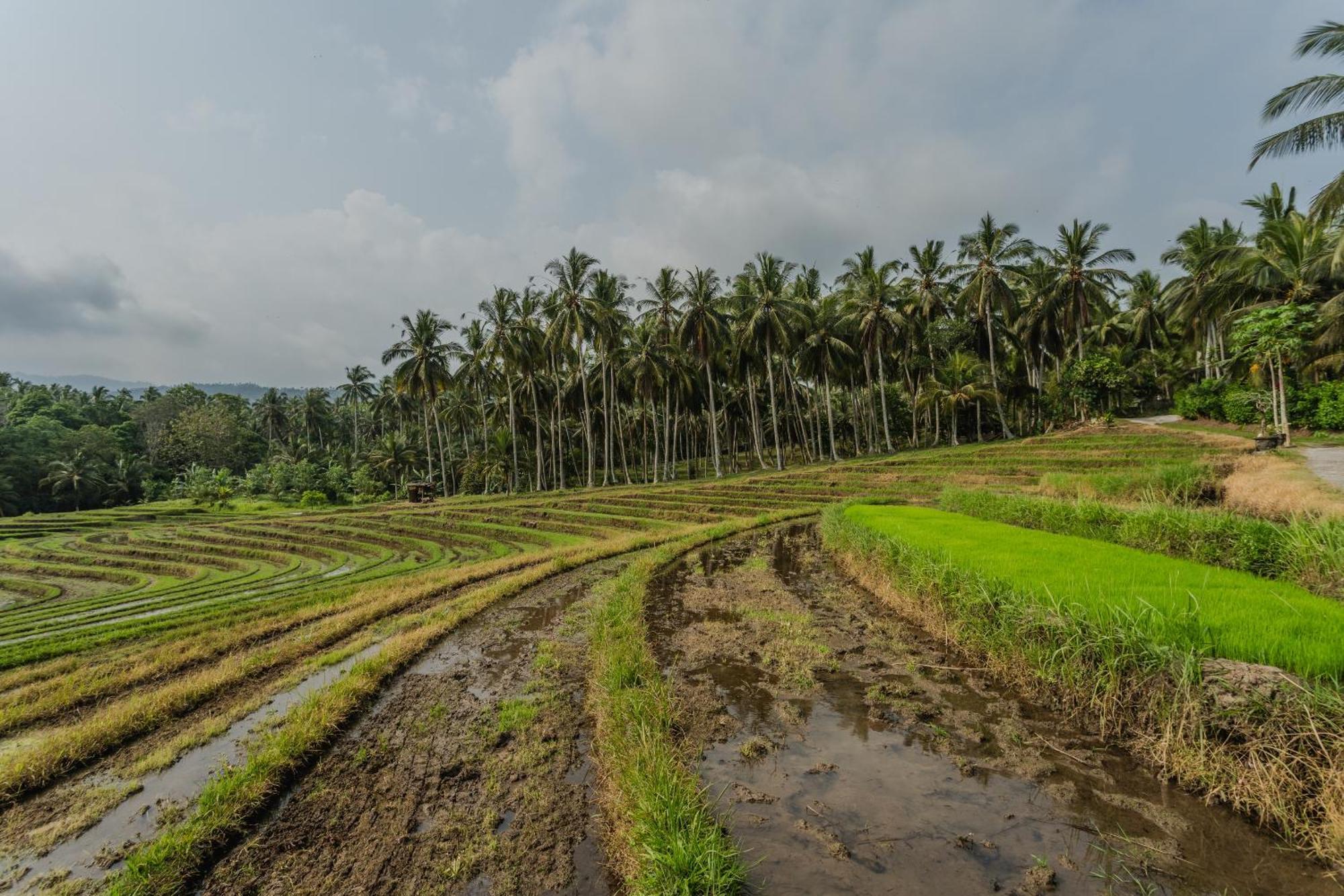 Pondok Hari Baik Balian Dış mekan fotoğraf